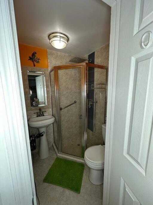 Appartamento Sleeps 3, Casa Tropical In Miami Esterno foto