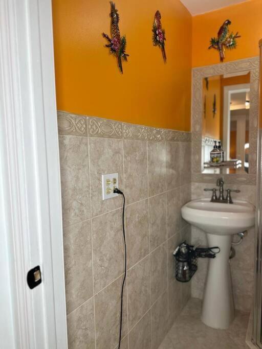 Appartamento Sleeps 3, Casa Tropical In Miami Esterno foto